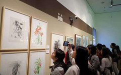 植物科学画家曾孝濂作品在浙江自然博物院展出