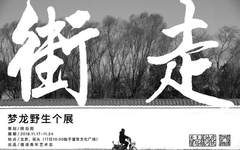 梦龙野生个展“街走”11月17日亮相北京街头