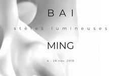 “白明——光明之碑”巴黎F.L艺术空间开展（图）